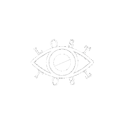 LOST VIZION