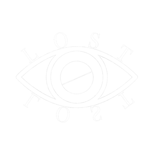 LOST VIZION